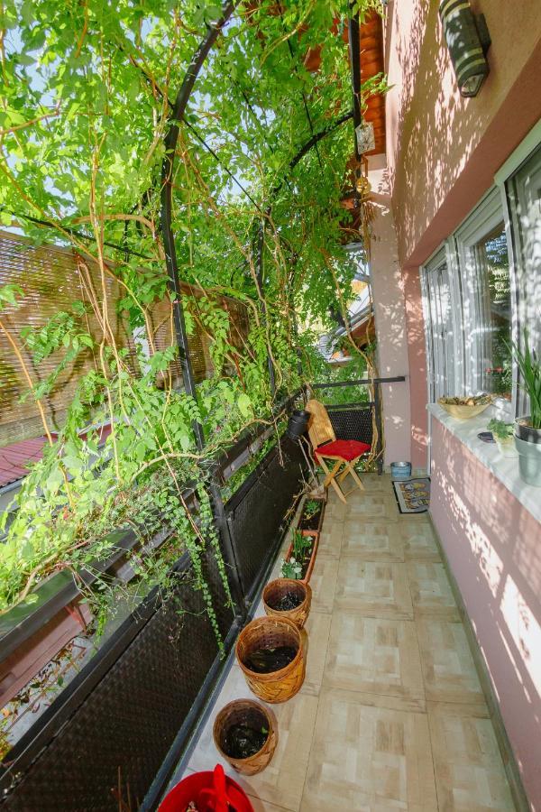 Apartman Zamak Sombor Exteriör bild