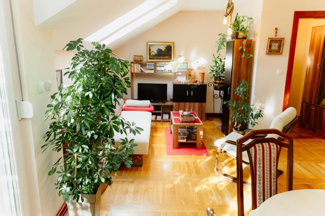 Apartman Zamak Sombor Exteriör bild